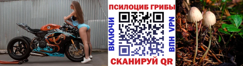 Галлюциногенные грибы Magic Shrooms Дедовск