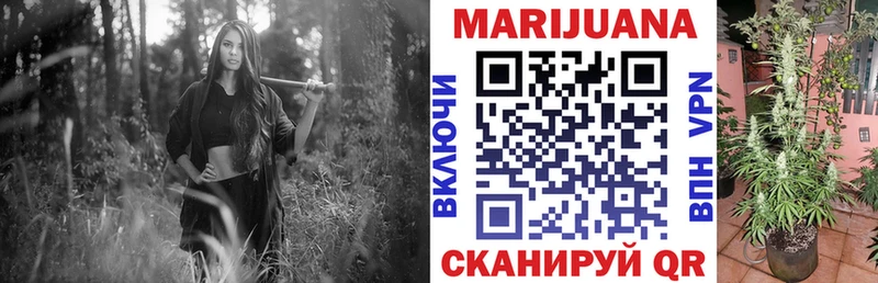 Бошки марихуана SATIVA & INDICA  Дедовск 